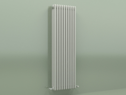 Radiateur TESI 4 (H 1500 10EL, gris Manhattan)