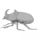 3d Rhinoceros_beetle.Жук носорог. модель купить - ракурс