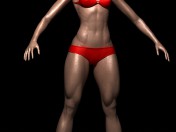 Athletic female body base mesh