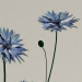 3d model Purple flowers - preview