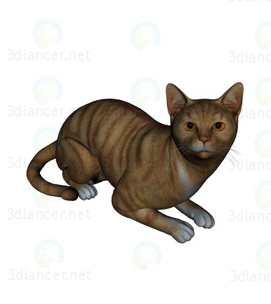 3d model Barsik the cat 2 - preview