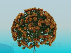 Tree with roses