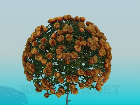 3d model Tree with roses - preview