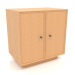 3D Modell Cabinet TM 15 (602х406х622, Holz Mahagoni furniert) - Vorschau