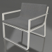 3d model Club chair (Agate gray) - preview