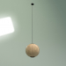 3d model Pendant lamp Nature Drop - preview