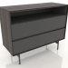 3d model Chest of drawers OPEN 1000x400 mm (ash walnut) - preview