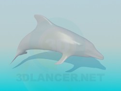 Delphin