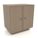 modèle 3D Armoire TM 15 (602x406x622, gris bois) - preview