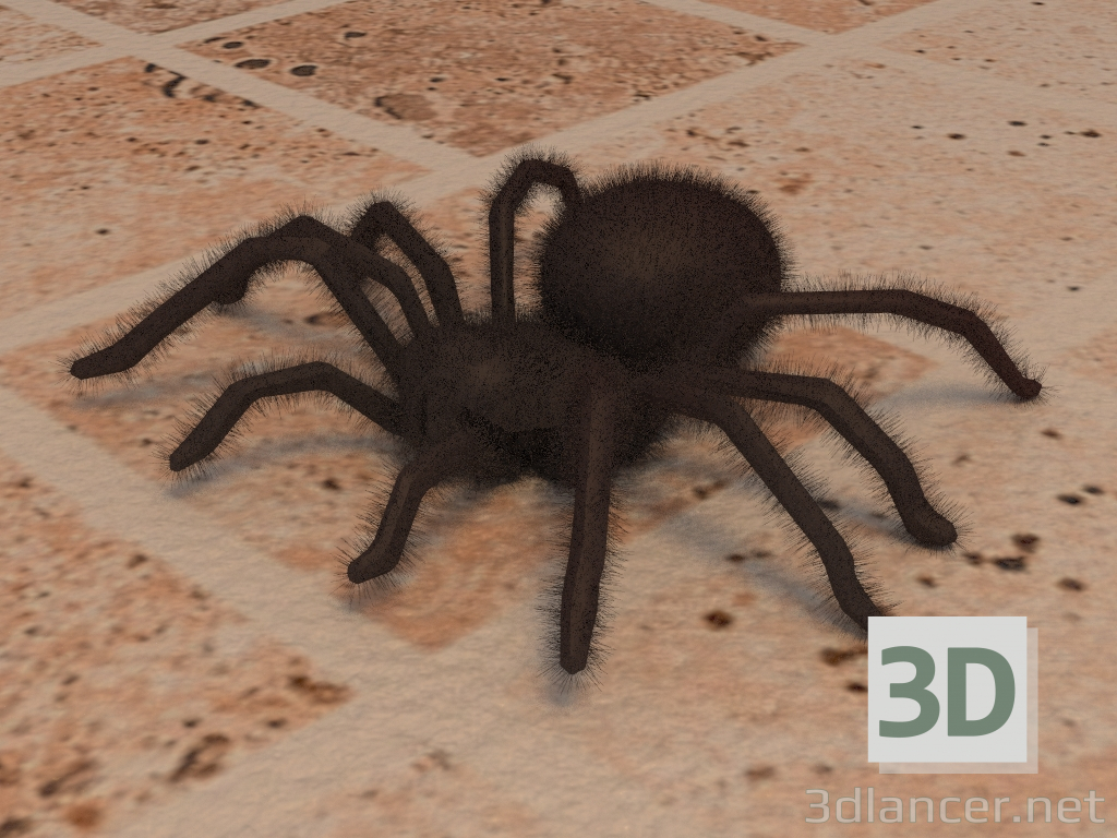 3D Modell Spinne - Vorschau