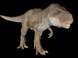 Tyrannosaure Rex