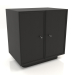 3d model Cabinet TM 15 (602х406х622, wood black) - preview