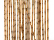 bamboo wall