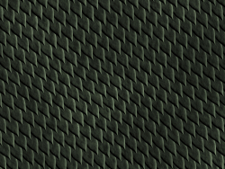 reptile skin 01