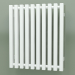 modèle 3D Radiateur Triga (WGTRG056048-VL, 560x480 mm) - preview