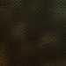 Texture reptile skin 12 free download - image