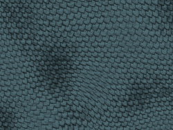 reptile skin 13