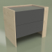 3d model Bedside table CN 200 (Champagne, Anthracite) - preview