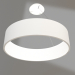 modello 3D Lampada SP-TOR-RING-HANG-R460-33W Day4000 (WH, 120°) - anteprima