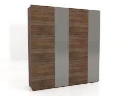 Armadio, finitura noce impiallacciato F, laccato lucido grigio (220x60,8x230 cm)