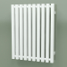 modèle 3D Radiateur Triga (WGTRG061048-VL, 610x480 mm) - preview