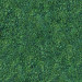 Texture Seamless texture of grass free download - image