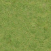 Texture Seamless texture of grass free download - image