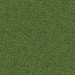 Texture Seamless texture of grass free download - image