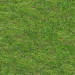 Texture Seamless texture of grass free download - image