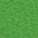 Texture Seamless texture of grass free download - image