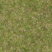 Texture Seamless texture of grass free download - image