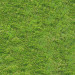 Texture Seamless texture of grass free download - image