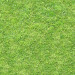 Texture Seamless texture of grass free download - image