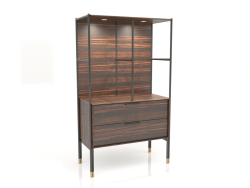 Showcase, ebony veneer finish, black matte lacquer, brass, backlight (94.1x45x160.5 cm)