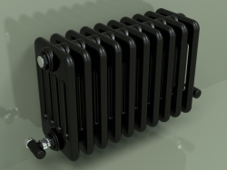 Radiator TESI 5 (H 300 10EL, Black - RAL 9005)