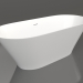 3D Modell Badewanne MONA 170 - Vorschau