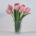 Modelo 3d Tulipas - preview