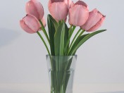 Tulips in a vase