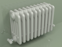 Radiateur TESI 5 (H 300 10EL, gris Manhattan)