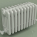 3d model Radiator TESI 5 (H 300 10EL, Manhattan gray) - preview