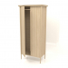 modèle 3D Armoire MC 03 (semi-ouverte) (914х565х2000, bois blanc) - preview