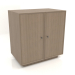 3D Modell Schrank TM 15 (803x505x834, holzgrau) - Vorschau