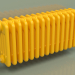 modèle 3D Radiateur TESI 5 (H 300 15EL, jaune melon - RAL 1028) - preview