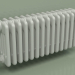 modèle 3D Radiateur TESI 5 (H 300 15EL, gris Manhattan) - preview