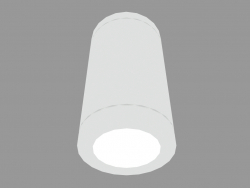 छत दीपक MICROSLOT DOWNLIGHT (S3924)