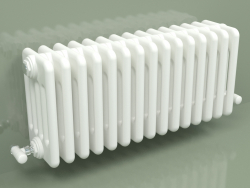 Radiator TESI 5 (H 300 15EL, Standard white)