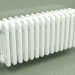 modèle 3D Radiateur TESI 5 (H 300 15EL, Standard blanc) - preview