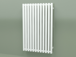 Radiator Triga (WGTRG090058-ZX, 900x580 mm)