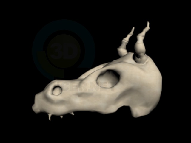 3d model skull dragon - preview