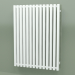 3d model Radiator Triga (WGTRG090068-ZX, 900x680 mm) - preview